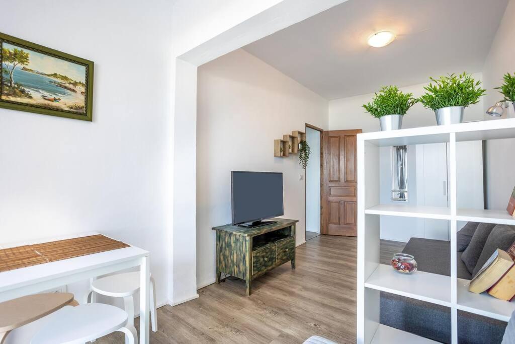 Brisas De Jover La Laguna  Zewnętrze zdjęcie